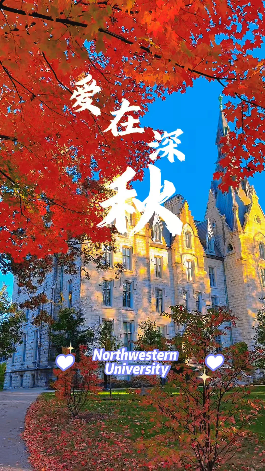 Autumn Beauty at Northwestern University in Chicago, USA