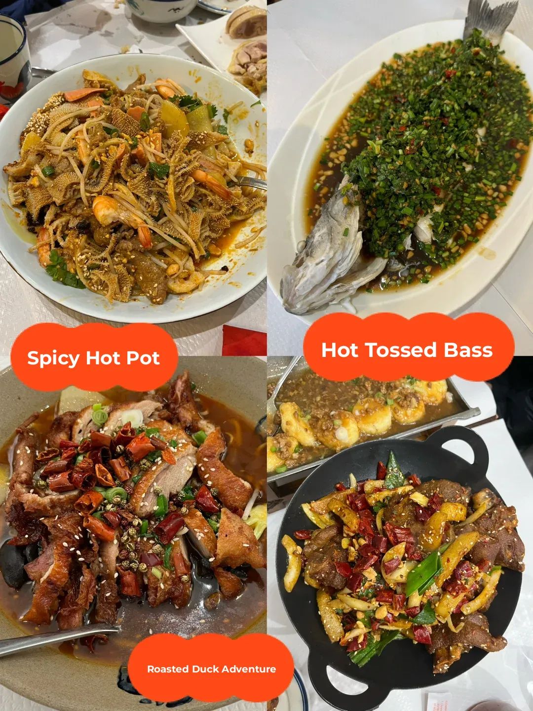 🇫🇷 This Place is Called【Home-Cooked Meals】Paris' Hidden Gem Chinese Restaurant