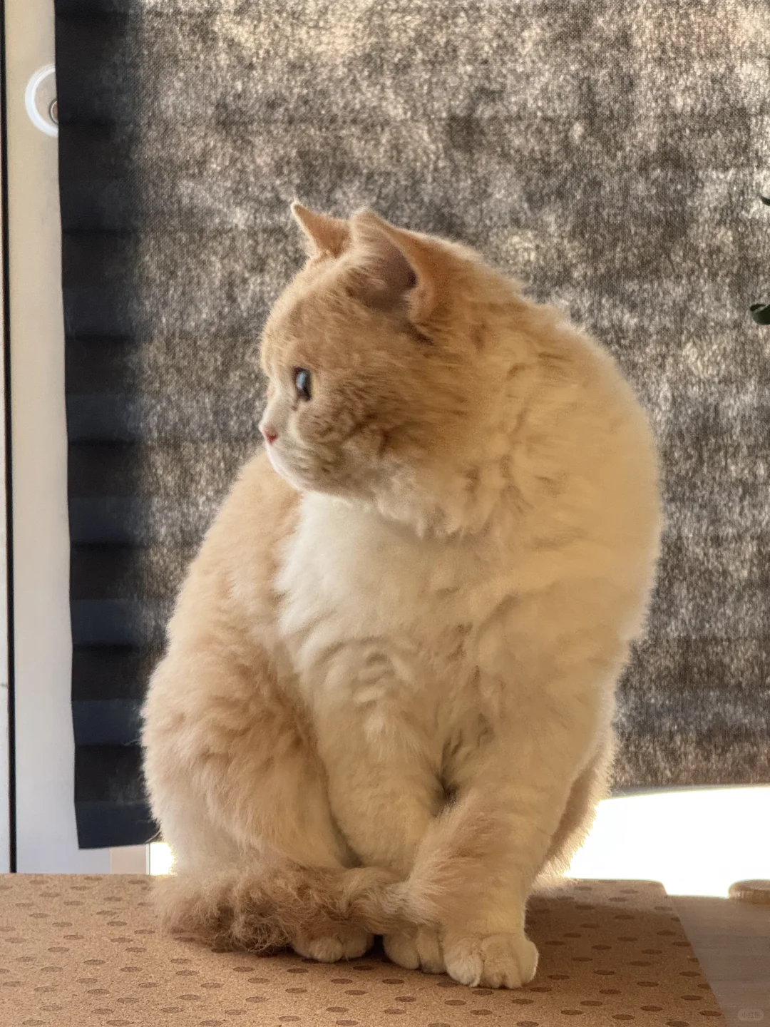 OMG I’m Actually in New York!! I’m So Happy I Could Faint