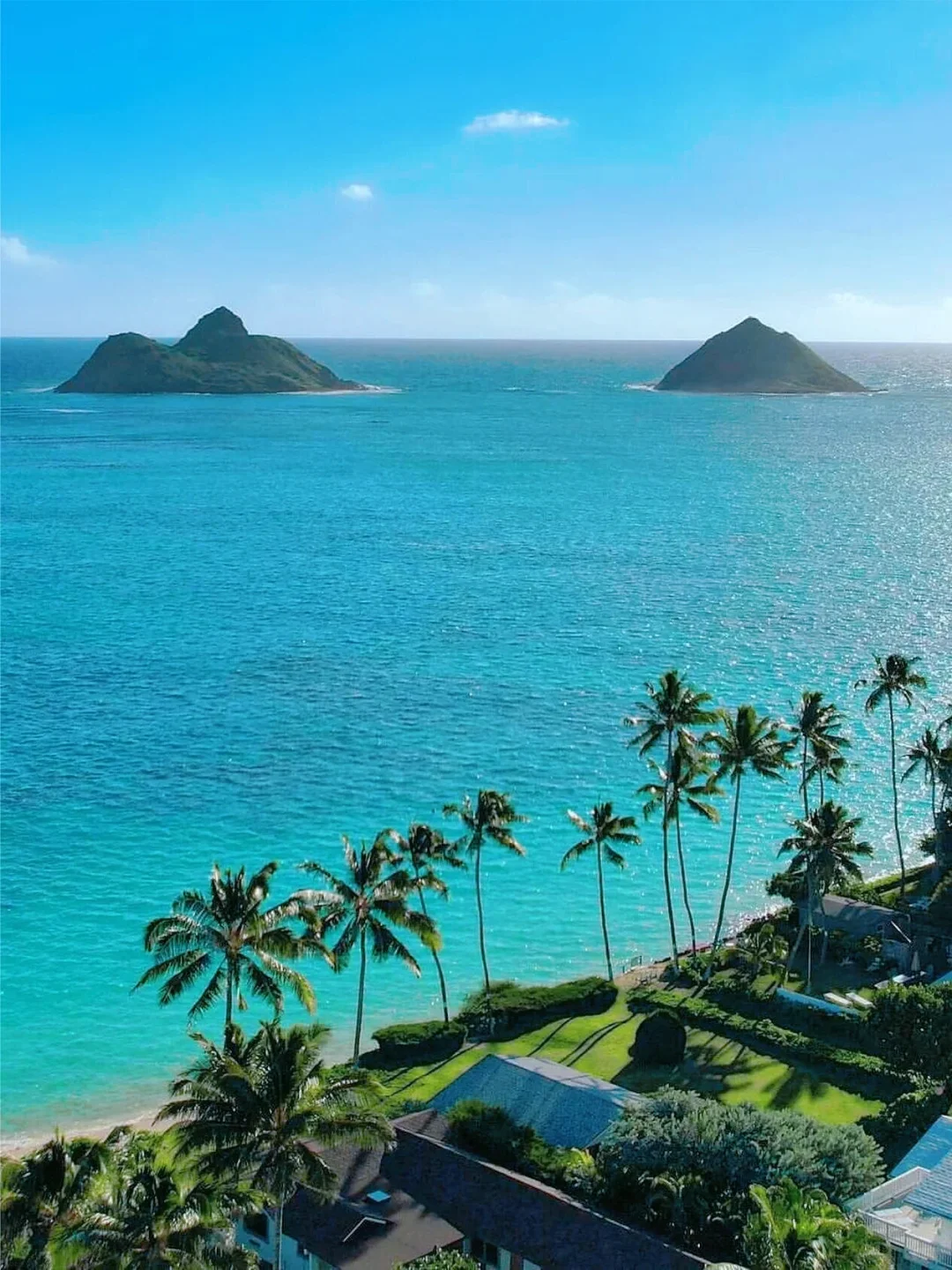 Just spent 5 days in Hawaii, checked out! 😅 Here’s my honest take…