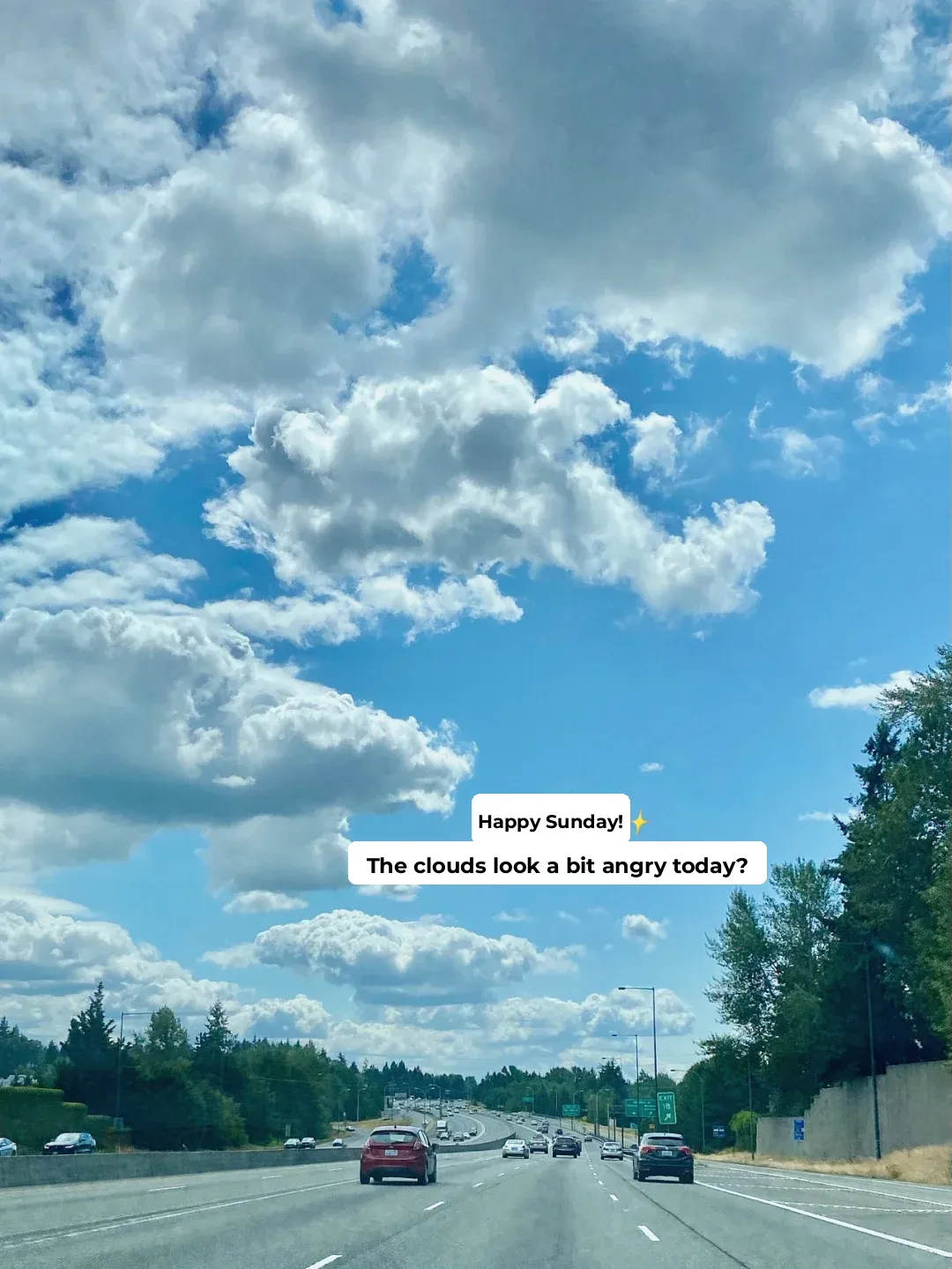 Plog | A Productive Weekend of Exploring and Eating for a Seattle Programmer ✨