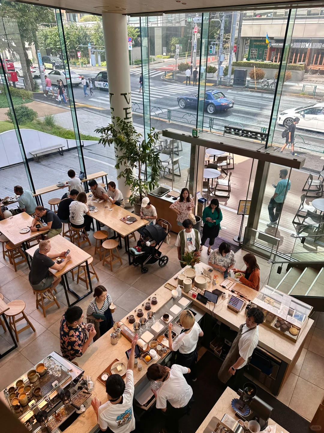 Must-Visit in Tokyo!! Cozy Glass House Café ☕️