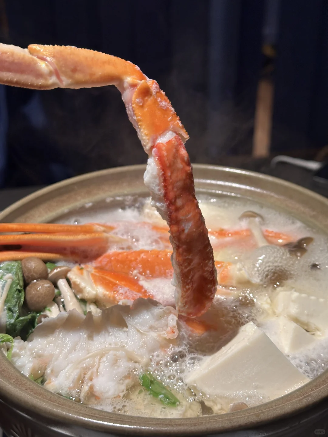 🇯🇵 Osaka | The Ultimate Matsuba Crab Experience 🦀 - Freshness and Sweetness that Keeps You Craving More