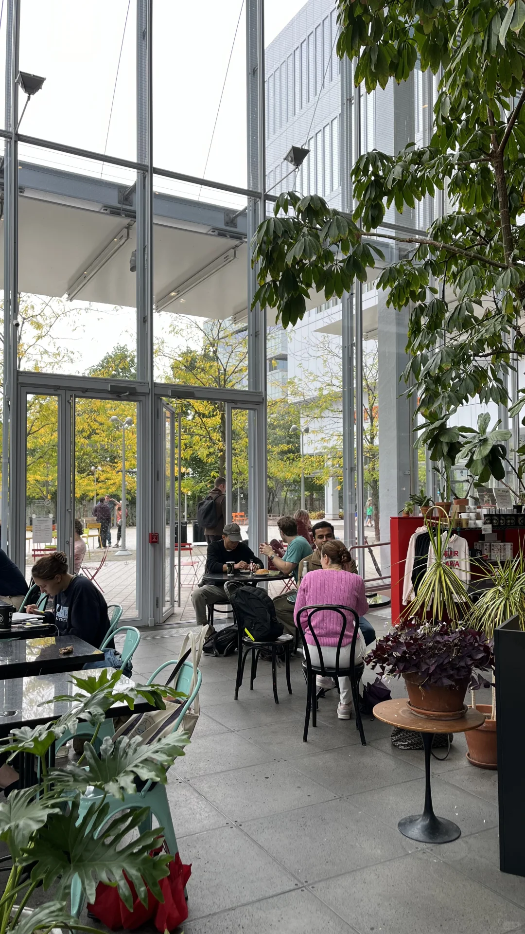 🇺🇸 New York | The Vast World of Study Cafes