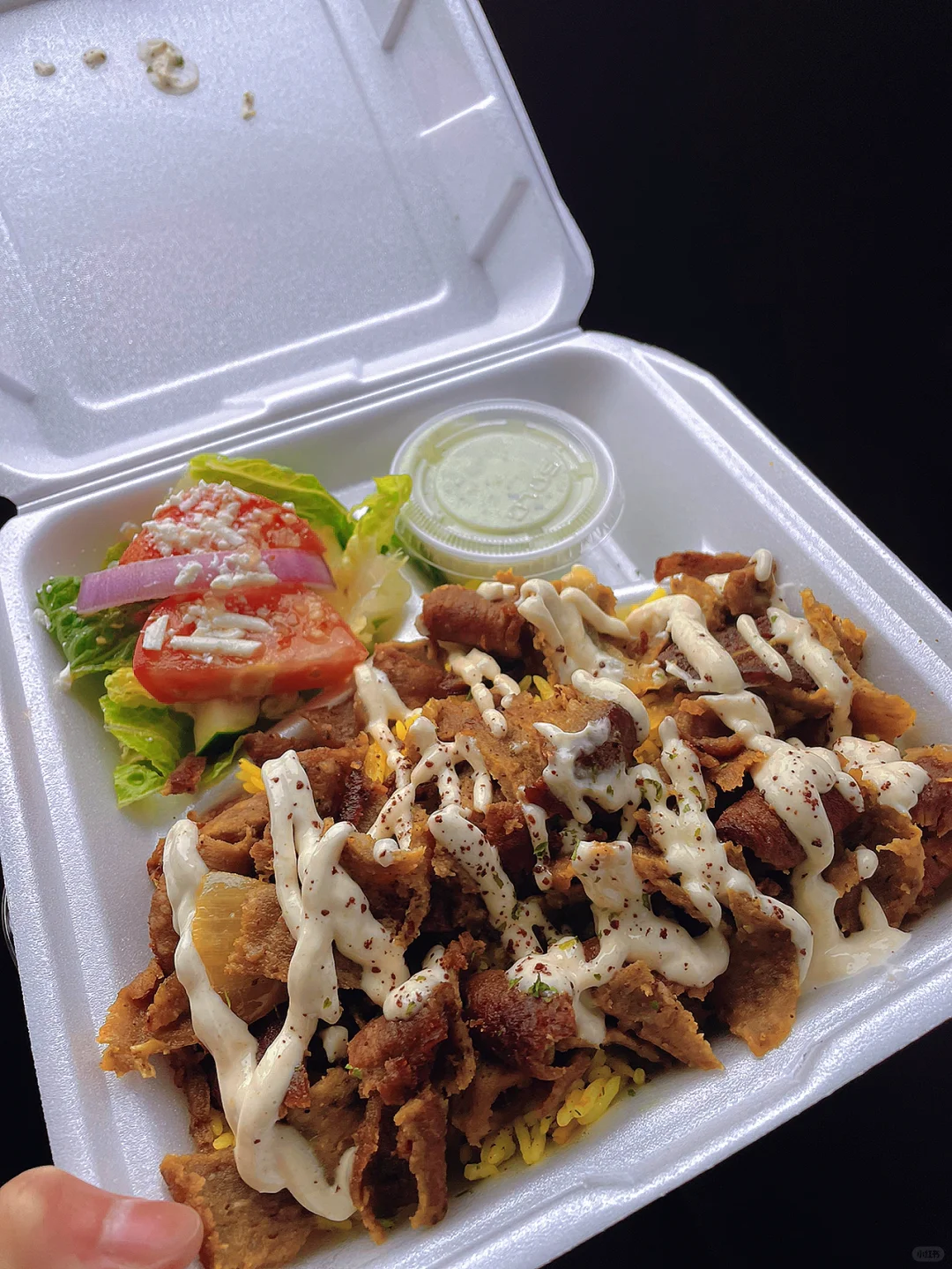 Best Middle Eastern Plate in Seattle!