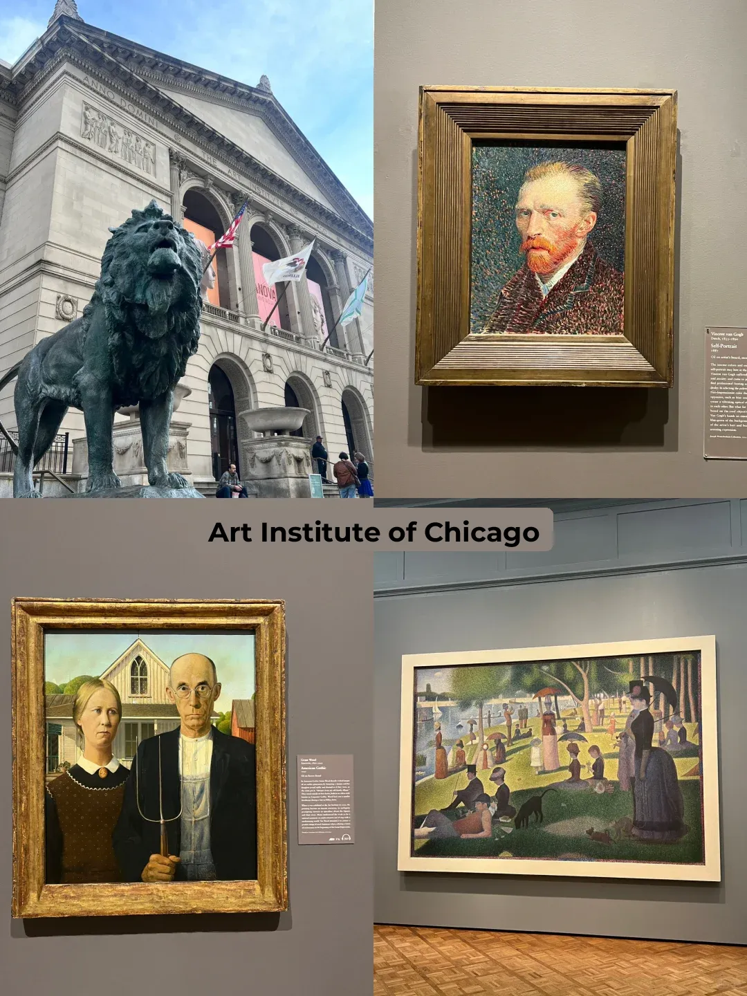 Top 5 Must-Visit Attractions in Chicago | A City of Danger and Beauty