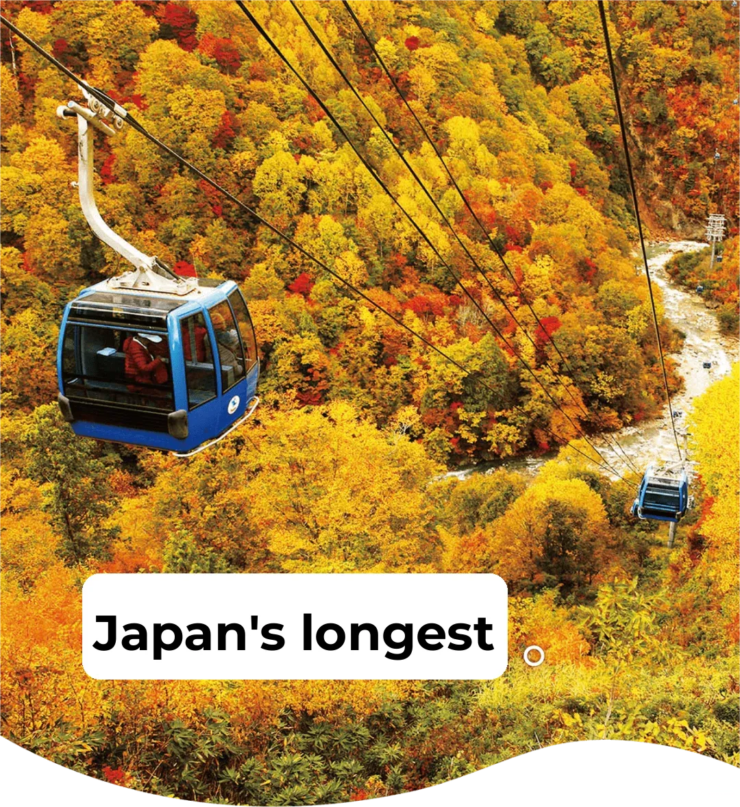 Don't Miss Japan's Longest Cable Car Ride for Stunning Autumn Foliage in Tokyo!