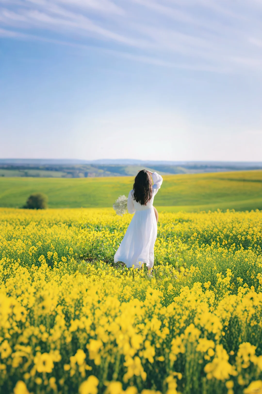 Stunned by Southern California's Spring Beauty 🌼｜Sea of Flowers in San Diego
