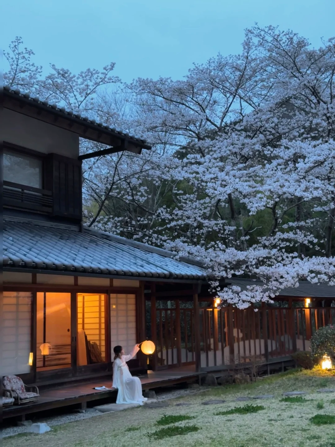 Stayed at Osaka's Most Stunning Sakura Airbnb 🌸