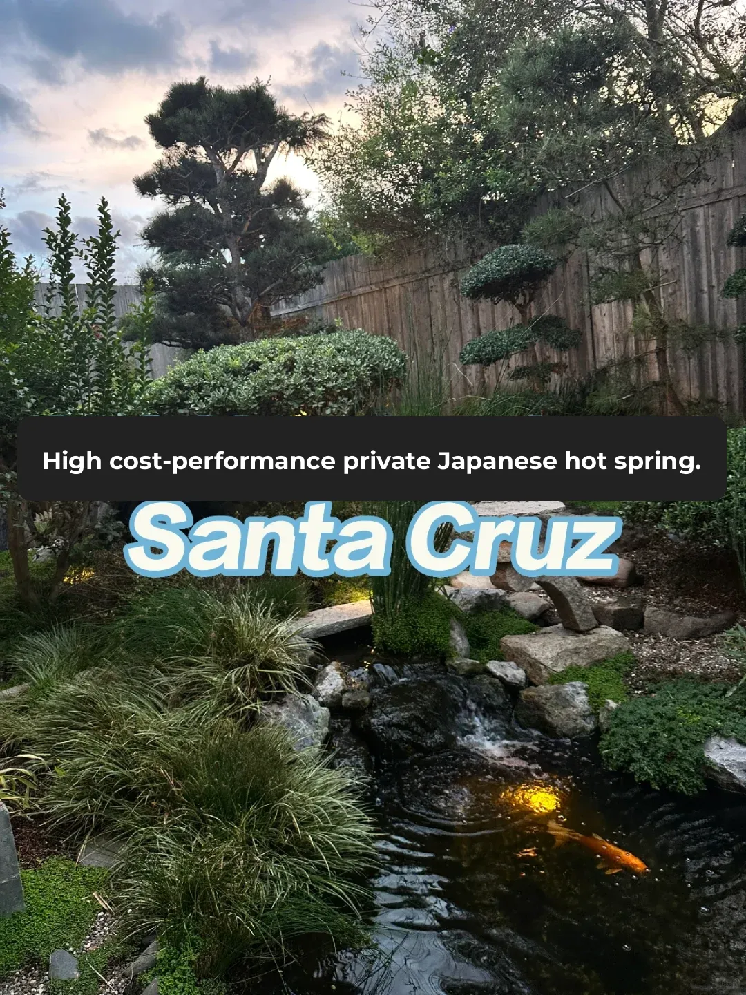 Bay Area Private Hot Spring ♨️ Best Bang for Your Buck 📍Well Within Spa