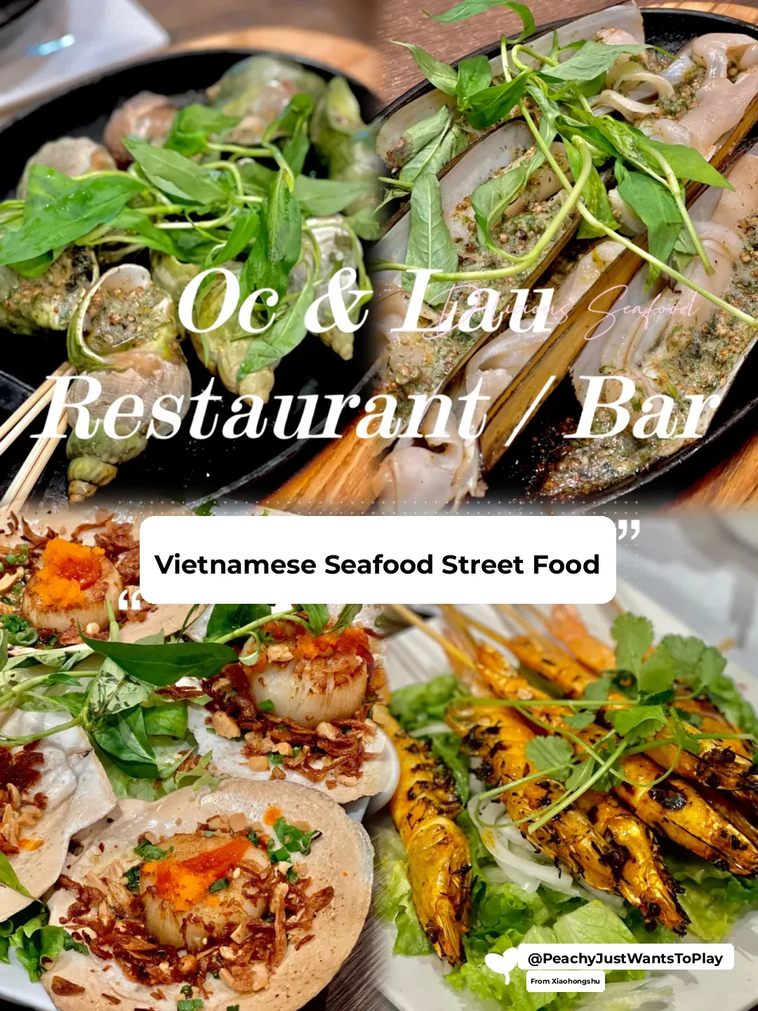 Irvine Food Hunt | Vietnamese Seafood Street Food is So Addicting 🤤