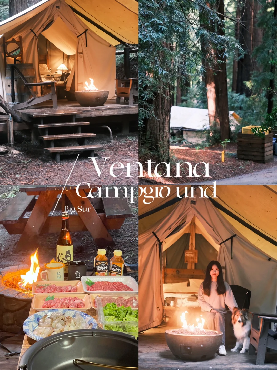 Bay Area Camping ⛺️ Lazy Person's Paradise: Ventana Campground