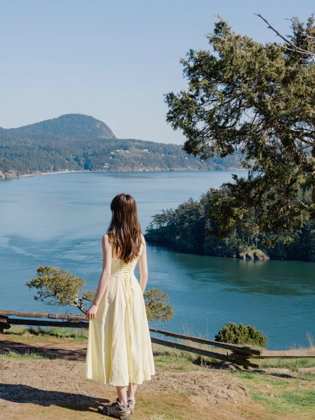 Embracing Seattle's Summer 🌞