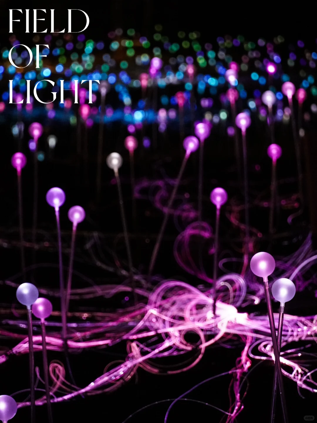 NYC Weekend Vibes: Catch a Free "Wild Starry Sky" Exhibition in Midtown! ✨