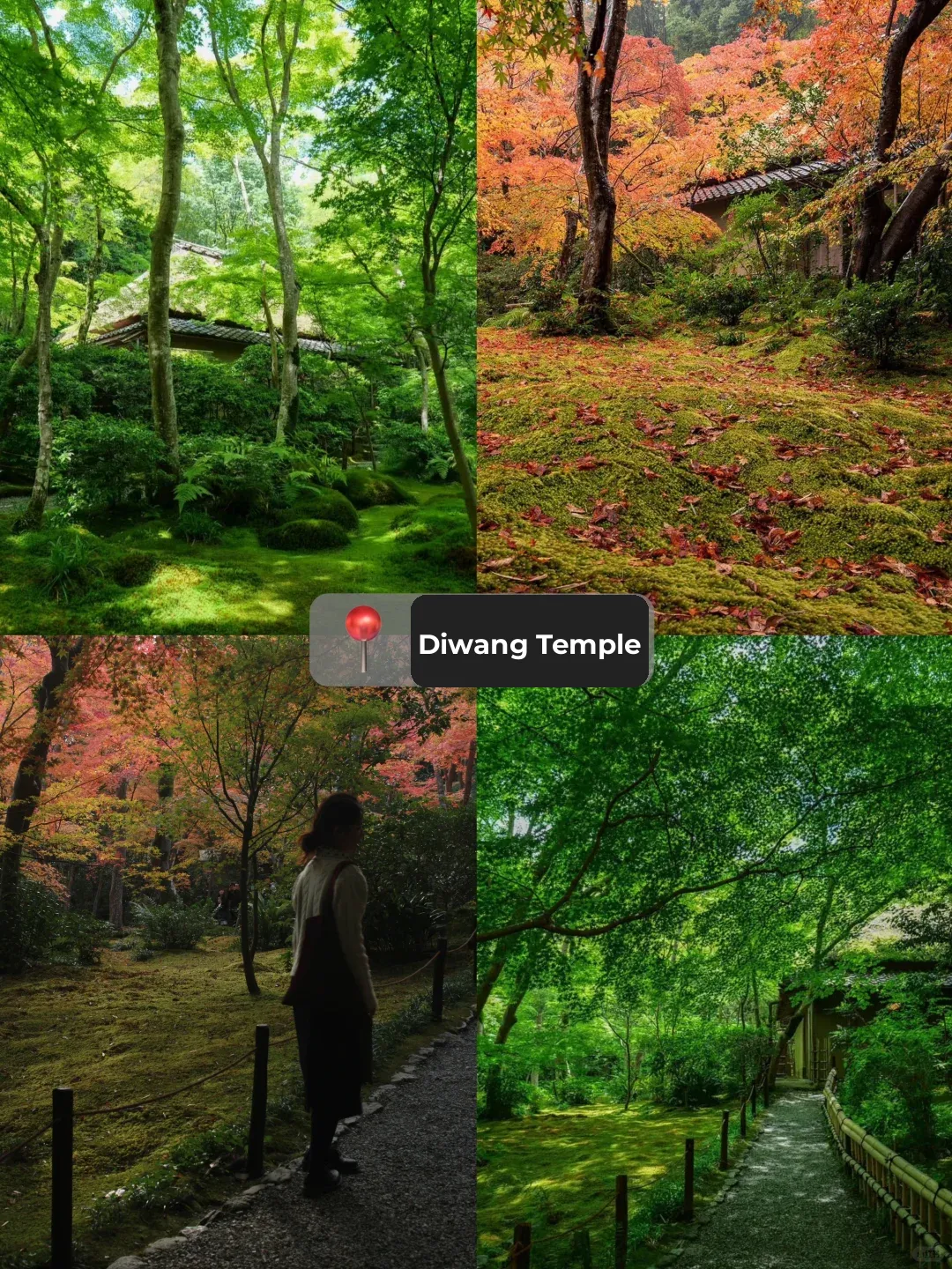 Kyoto | Arashiyama ⛰️ Just Chill, Stroll, and Shop