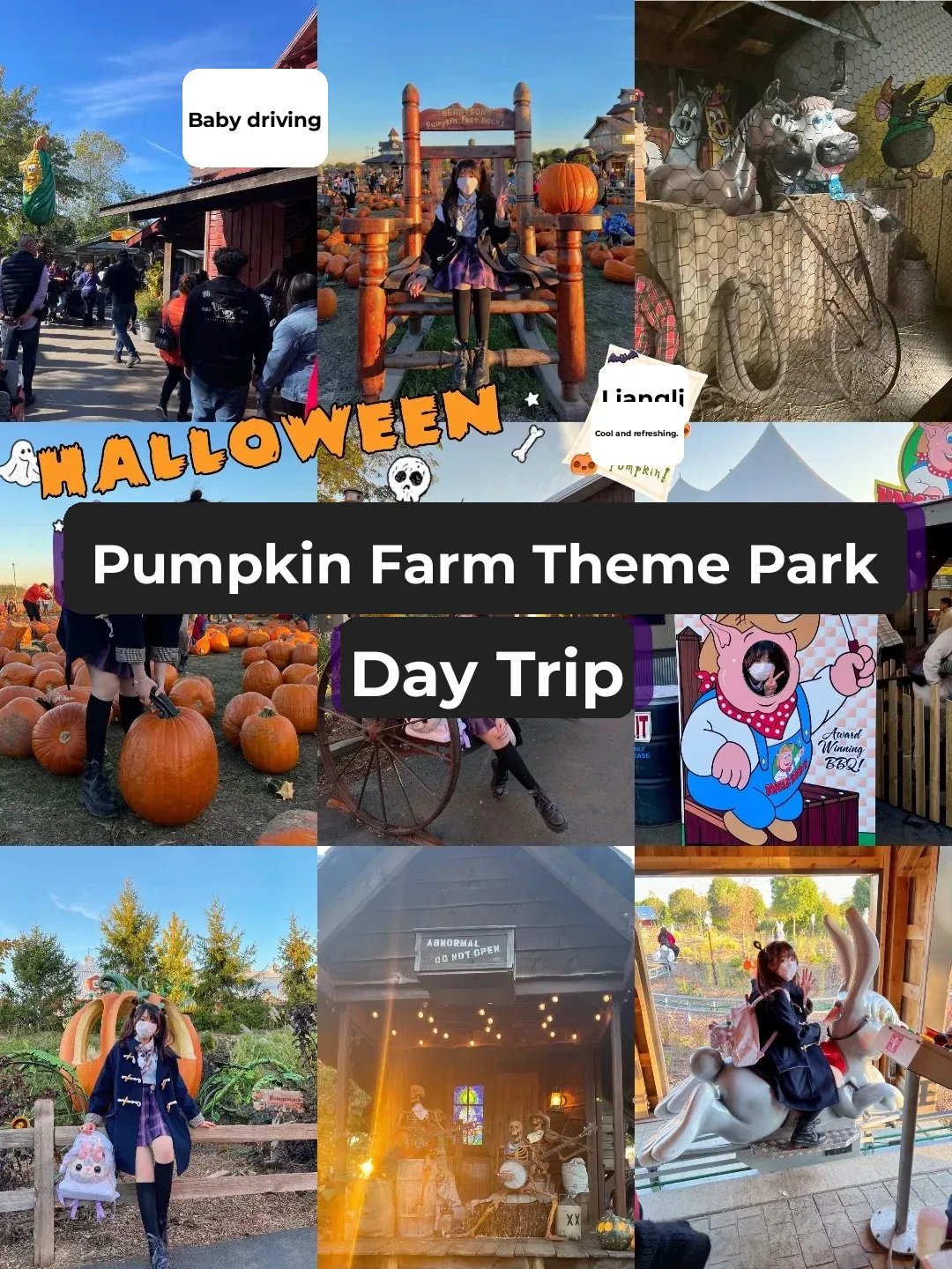 Halloween in Chicago🎃 Super Fun Pumpkin Farm Theme Park!