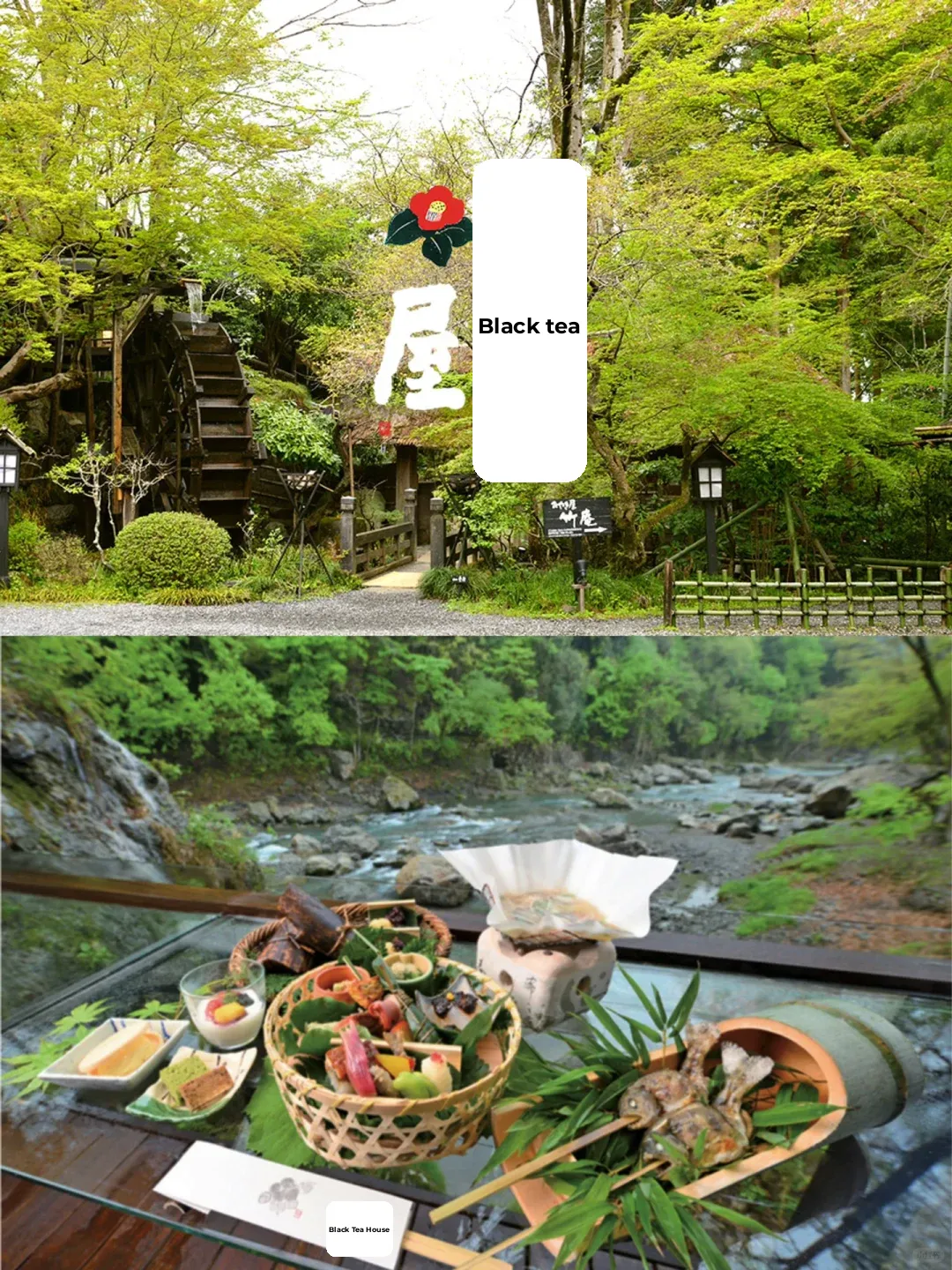 🍃🍵 Tokyo's Green Wonderland | Sipping Tea at a 300-Year-Old Tea House