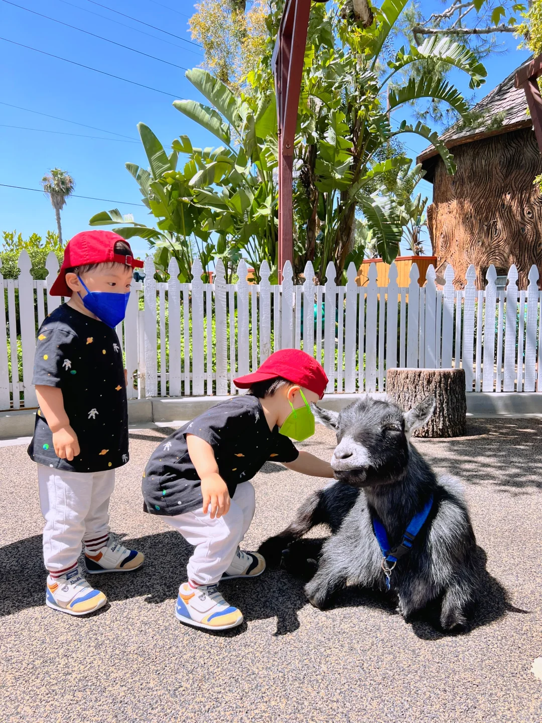 LA Kid-Friendly Farm Hopping Guide 🐔