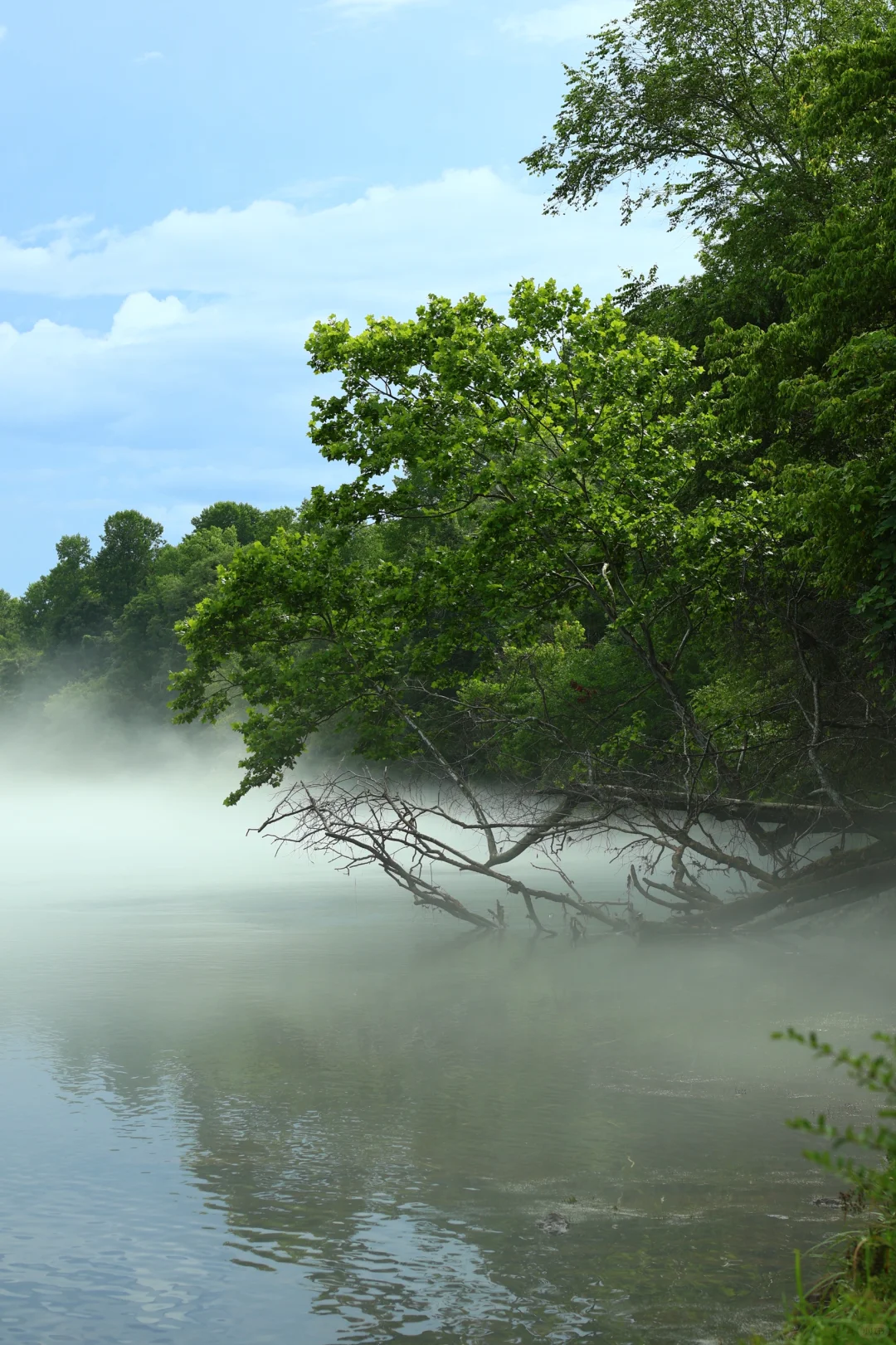 The Legendary Stretch of the Chattahoochee River Near the Reservoir