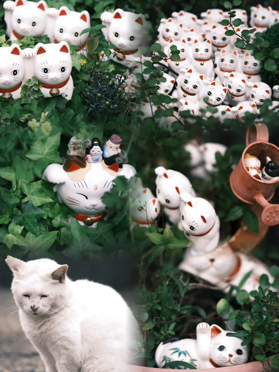 ⛩️ Tokyo's Cutest Shrine 🐱 Birthplace of the Lucky Cat