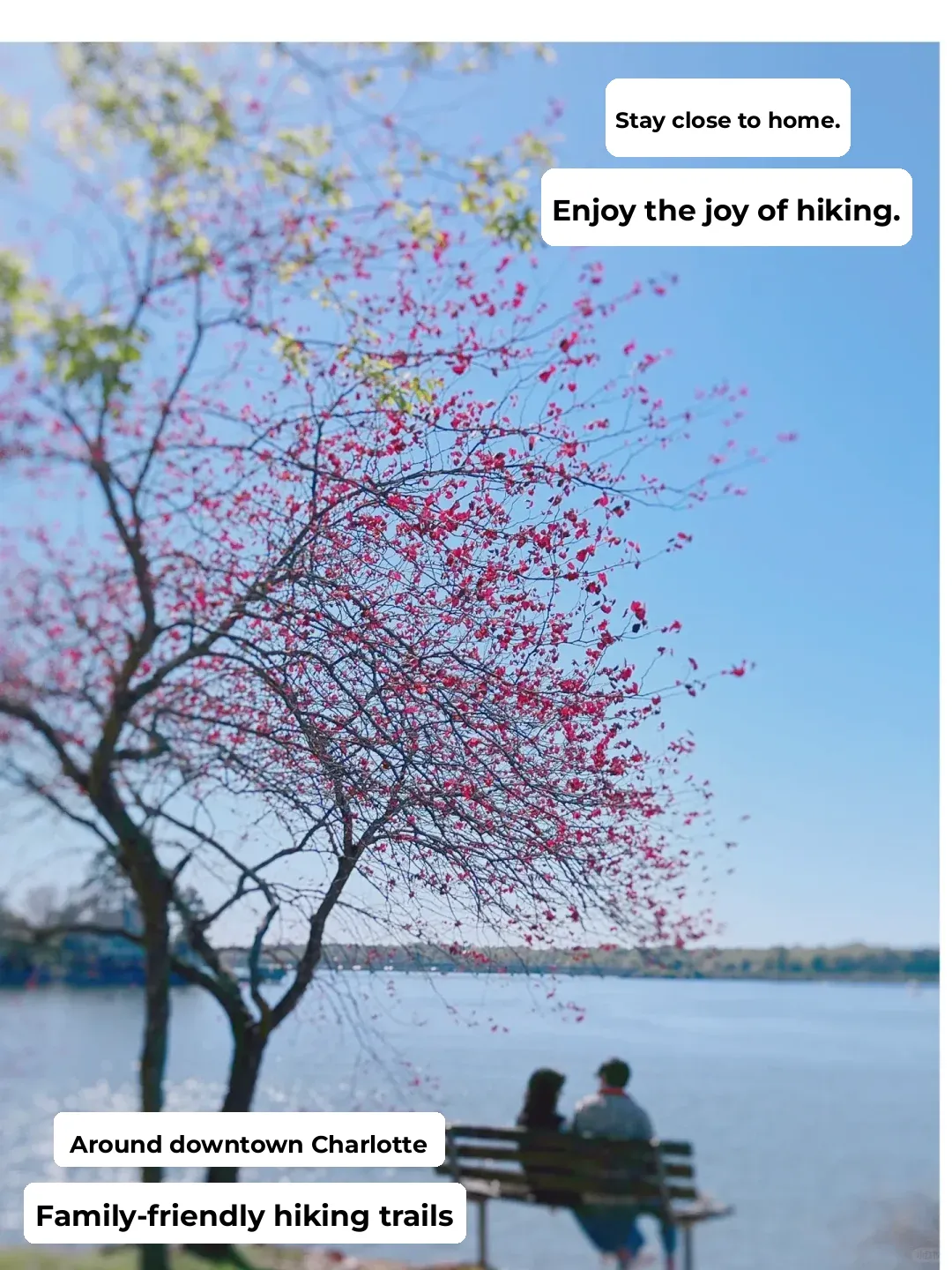 North Carolina | Charlotte | Relaxing Hike at McDowell Nature Preserve