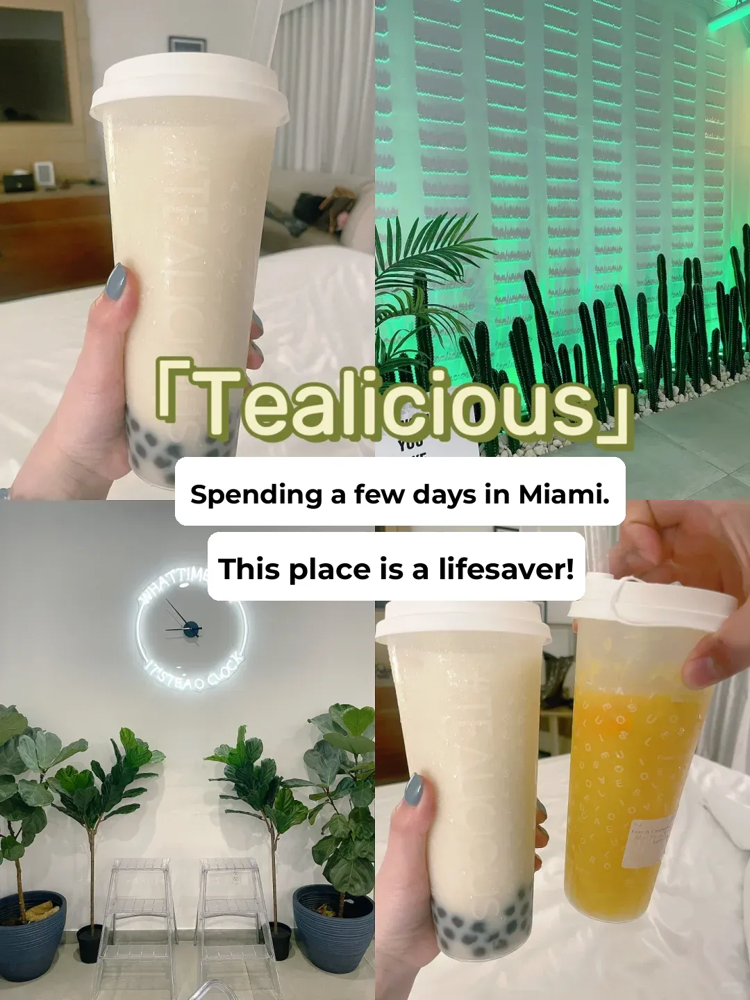 Miami | This Spot Keeps Boba Lovers Alive on Their Travels!!