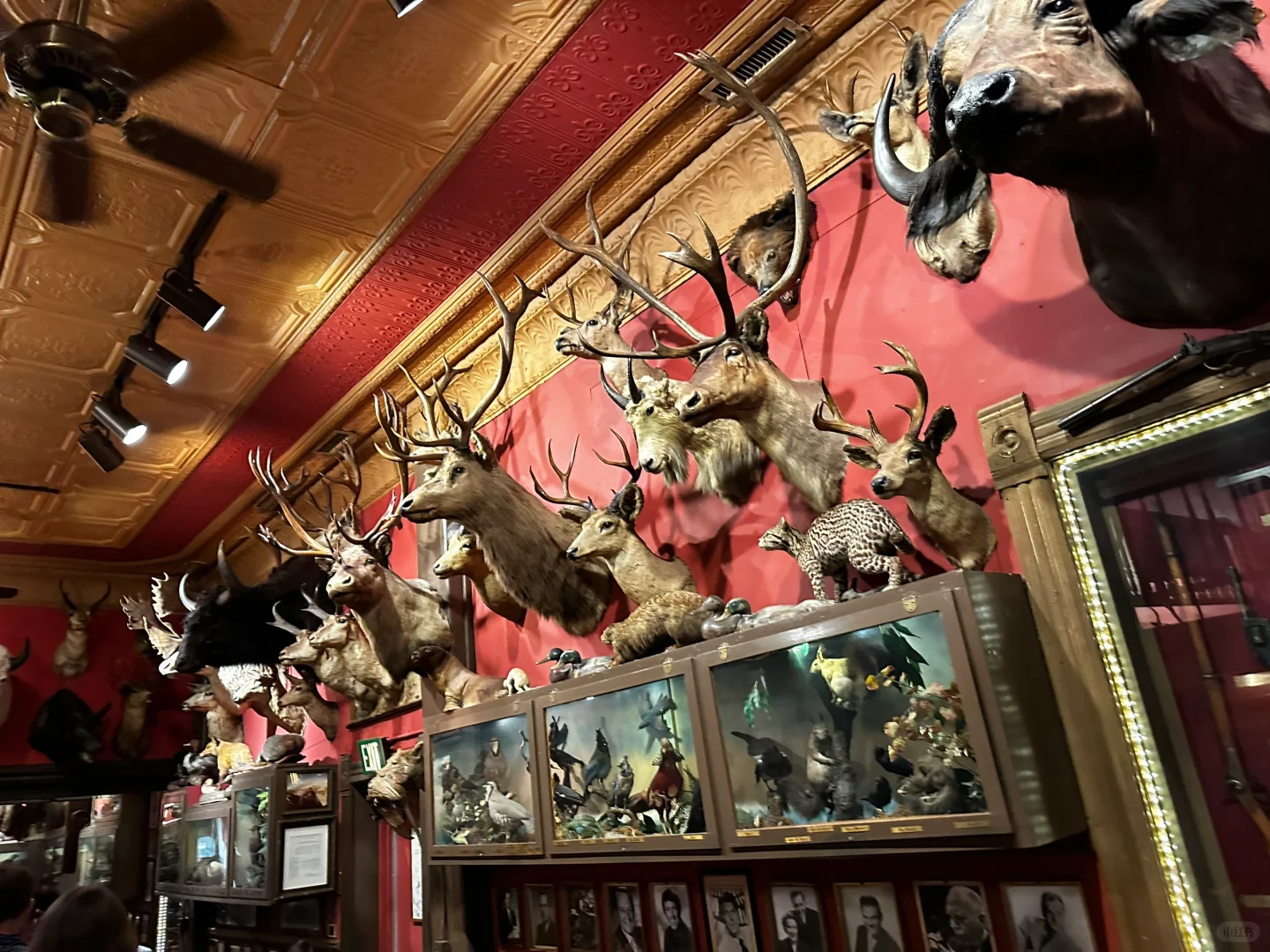 Denver Journey: Food and Wine