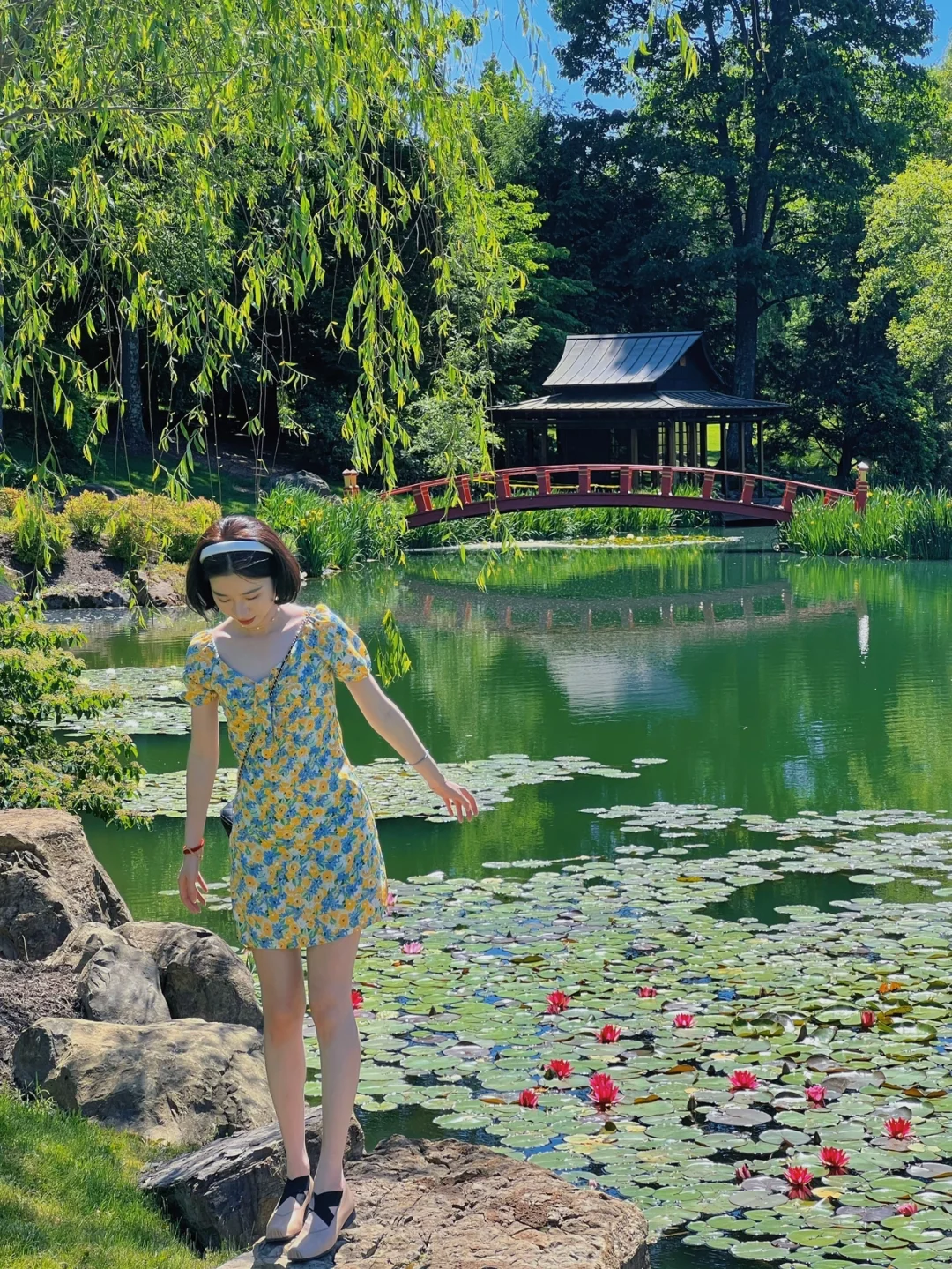 Little Asia Garden in Columbus, Ohio