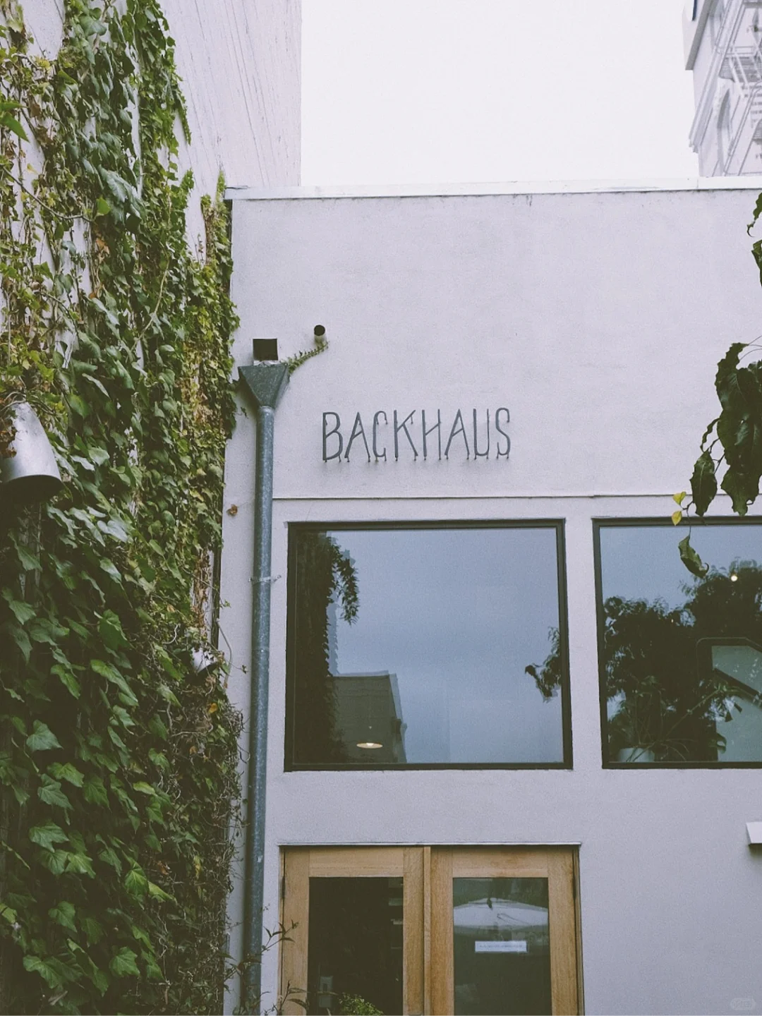 Bay Area Exploration | Coffee Hidden in Secret Corners