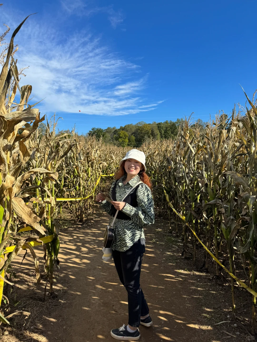 Atlanta | Corn Maze