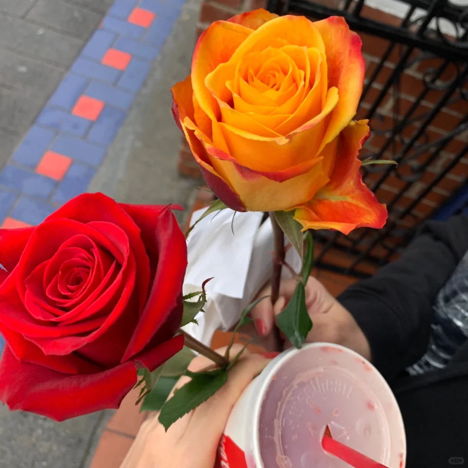 Delicious Eats in San Francisco