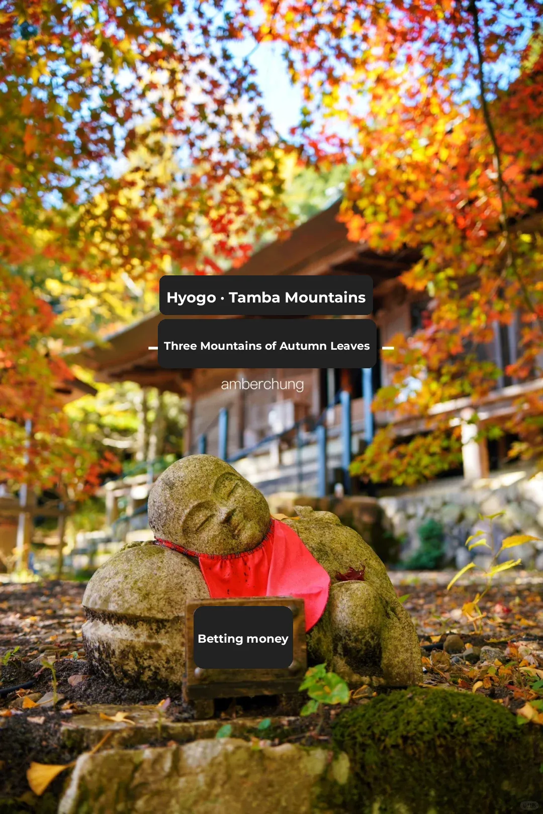 Hyogo Tanba Sasayama | The Hidden Gem of Autumn Foliage at Ancient Temples