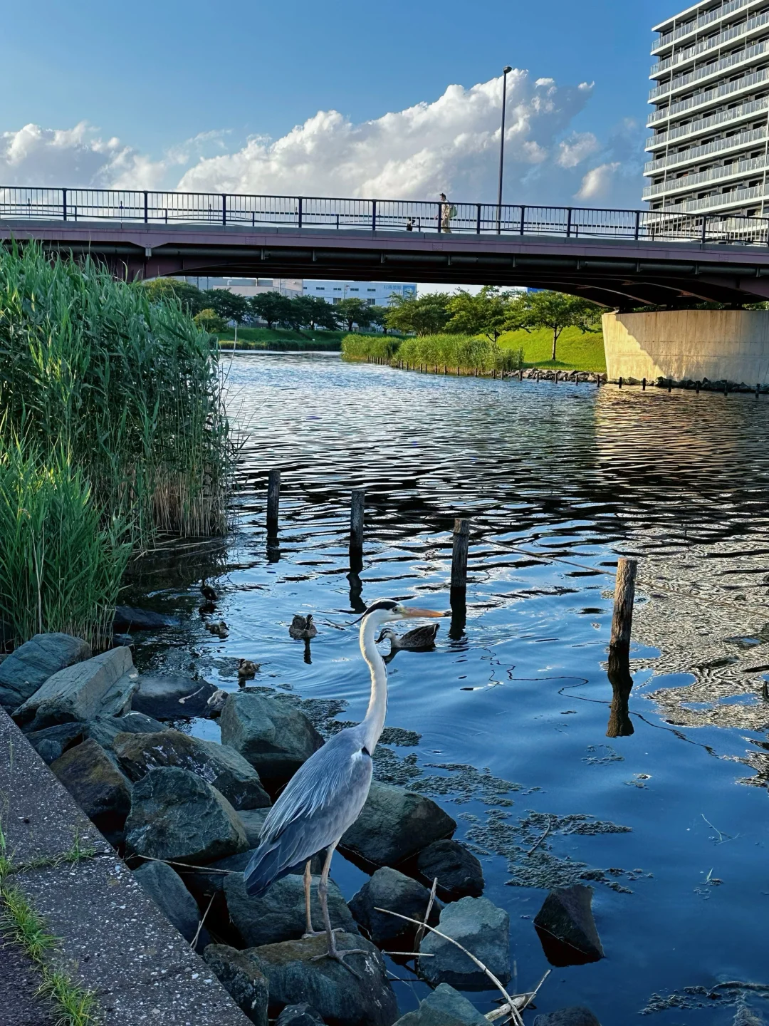 After Exploring So Many Spots in Tokyo, I Found My Ultimate Fave!