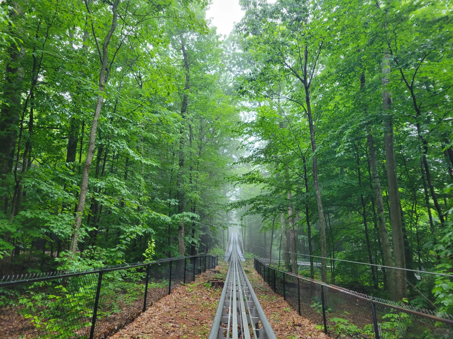 Boston | Notes Around Lake Winnipesaukee (Part 2)