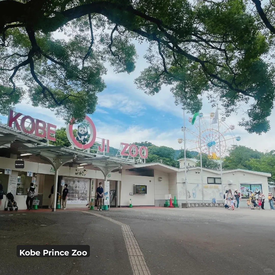 Explored Four Zoos and Two Aquariums in Kansai...