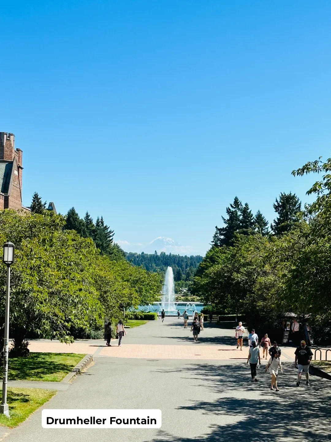 Guide｜3-Day Seattle Itinerary