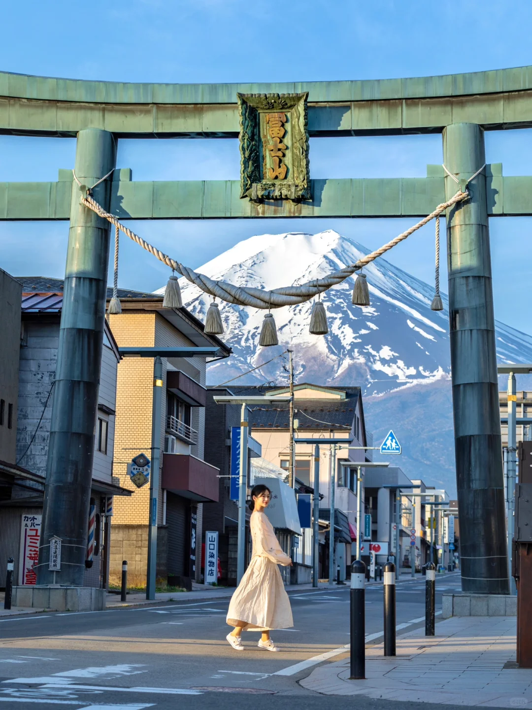 The Joy of Non-Conformity! Privately Owning the Fuji View 🗻