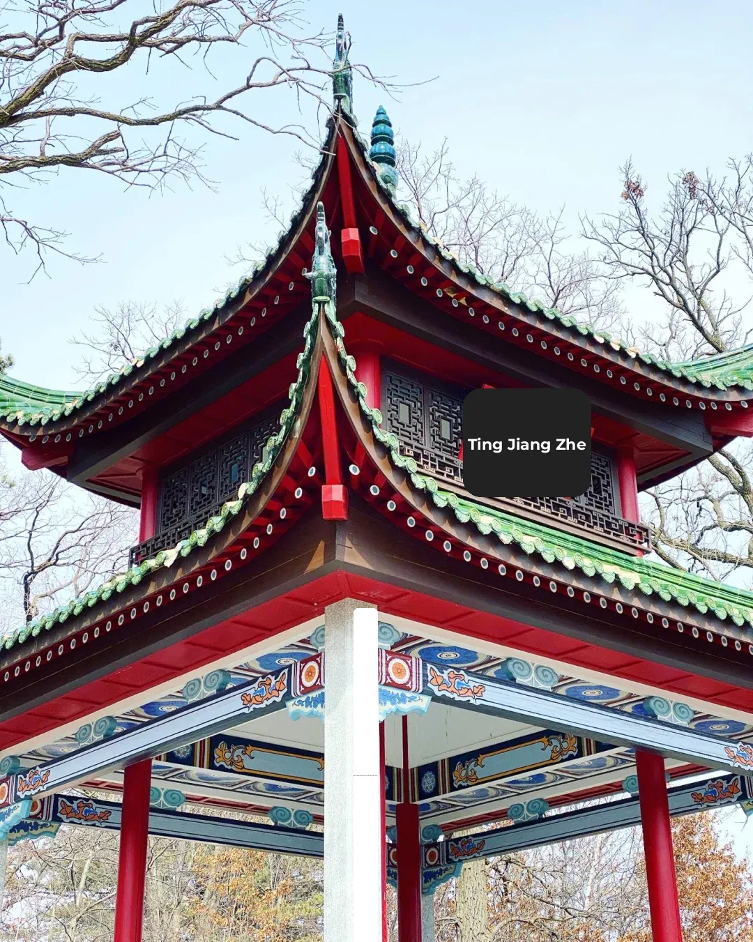 Minnesota's Liu Ming Garden