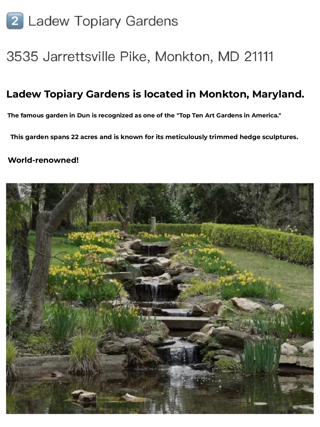 The Most Beautiful Season in DMV｜Must-See Spring Scenery to Add to Your List 🌟