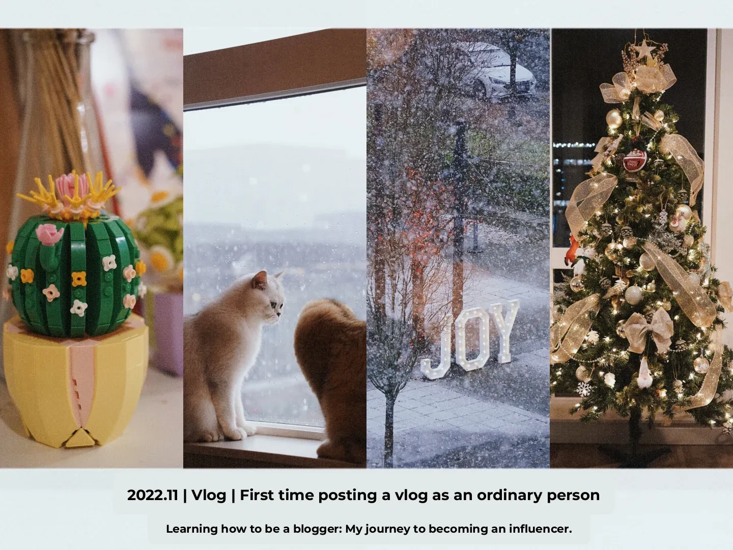 2022.11 Vlog: How to Shoot Your First Vlog as an Amateur