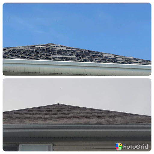 Google Reviewer's roof