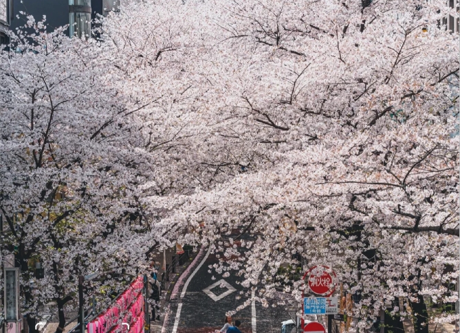 post_image