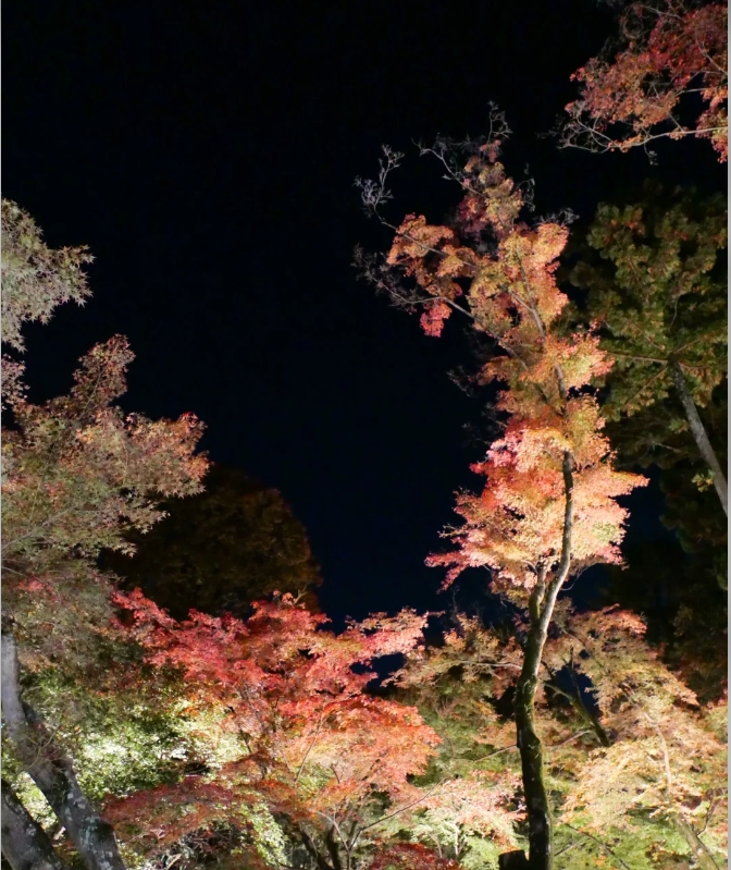 post_image