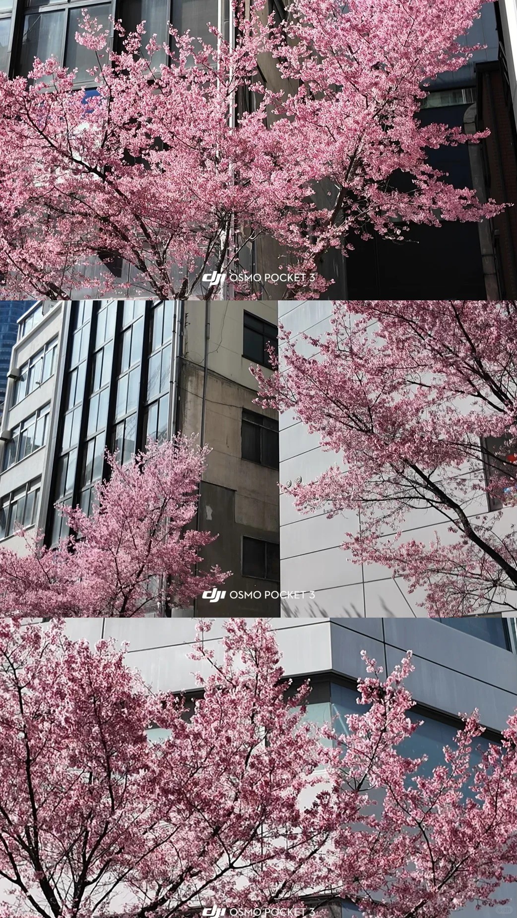 post_image
