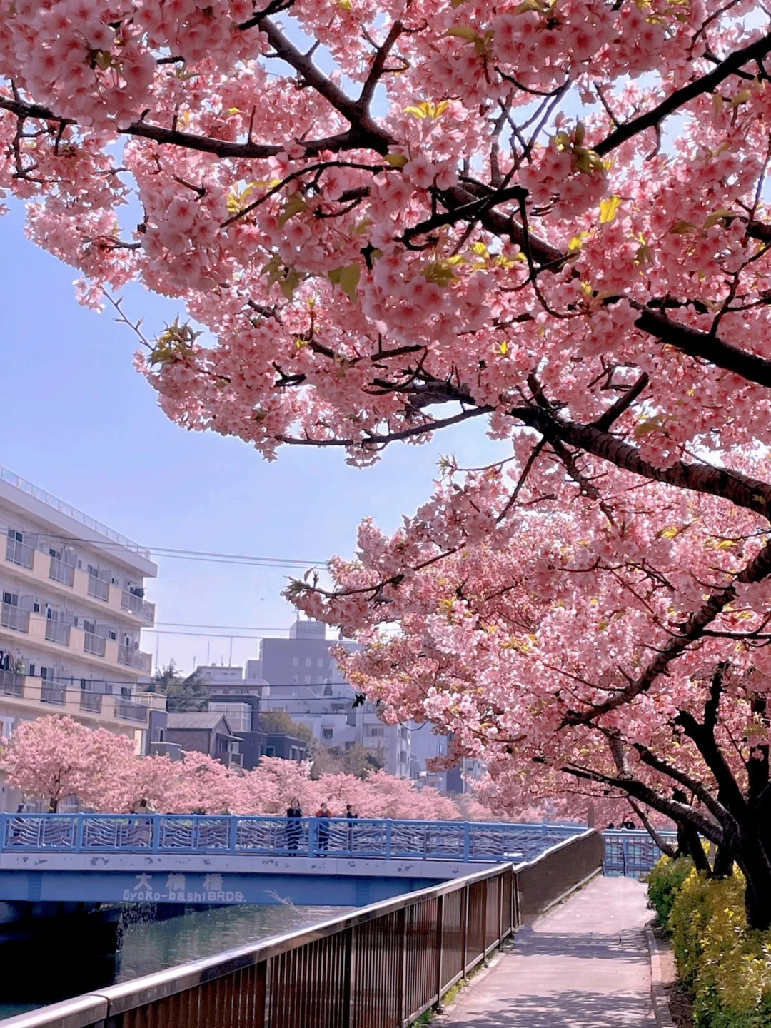 post_image