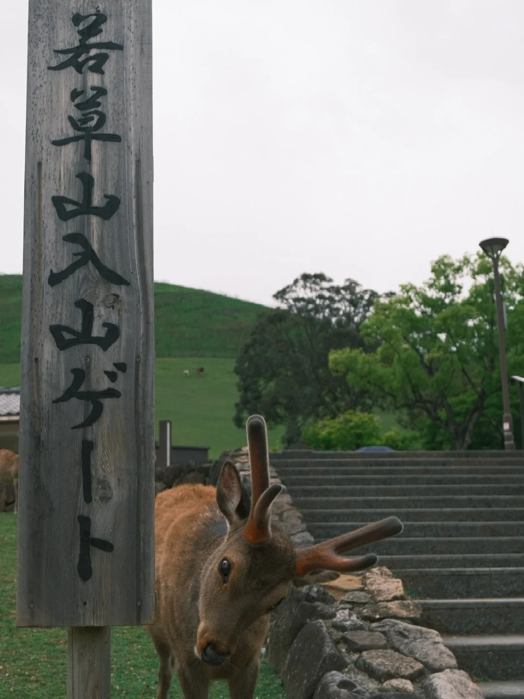 post_image