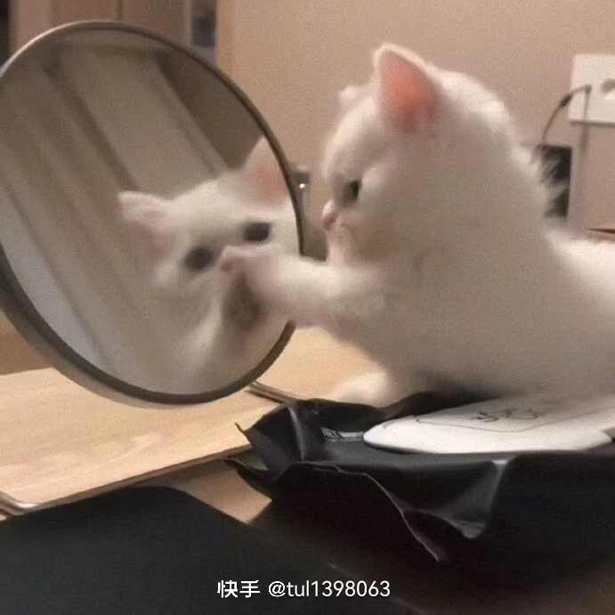lumi