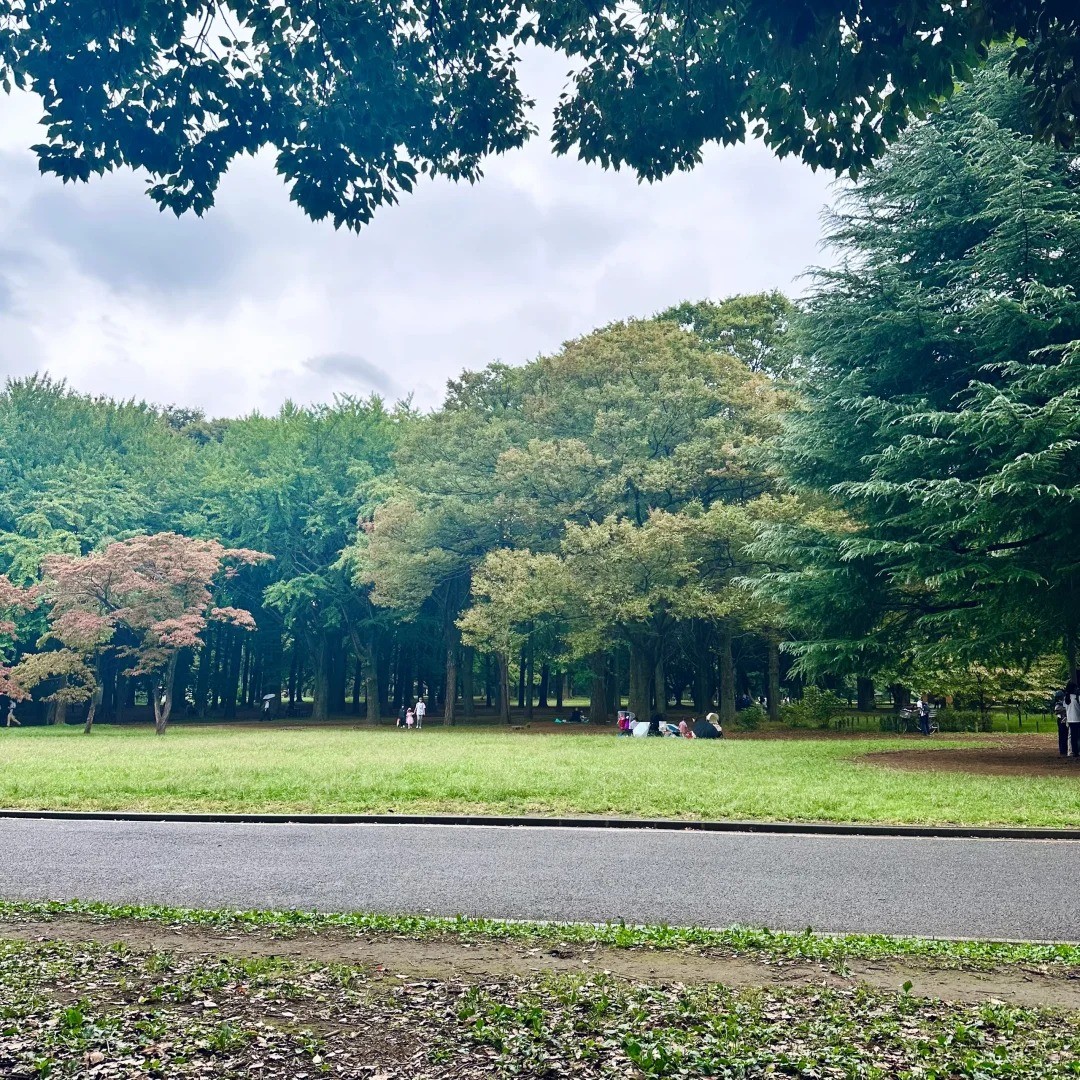 post_image
