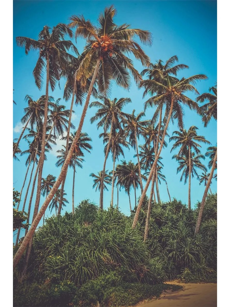 post_image
