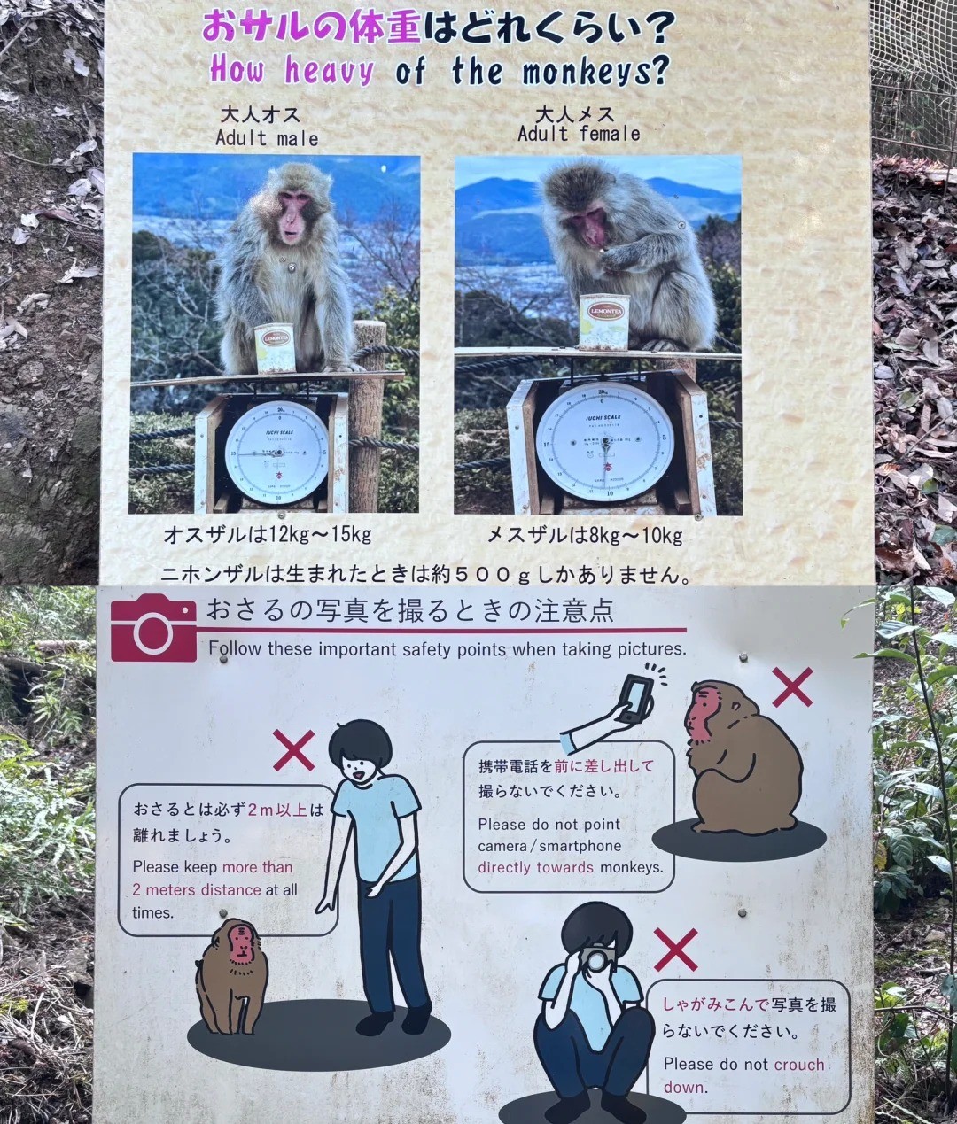 post_image
